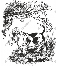Dachshund inspired by nature