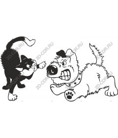  Cat vs. dog