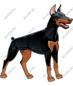  Premium Doberman