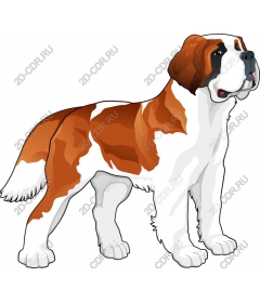  Saint Bernard