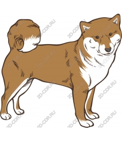 Shiba inu Digital