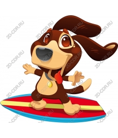  Surfing puppy