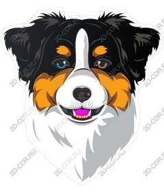  Charming dog