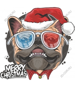  The playful French bulldog in a Christmas Santa hat and 3D glasses
