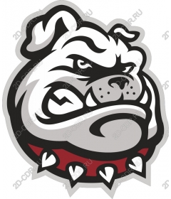  Ferocious bulldog