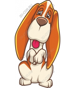  Charming playful hound