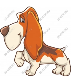 The Basset hound is a Playful cartoon