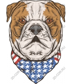  Patriotic bulldog