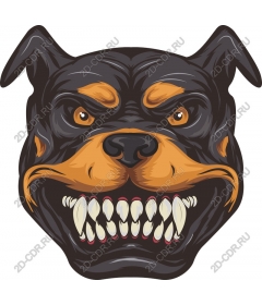  Ferocious head of a Rottweiler