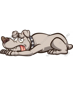  Adorable bulldog