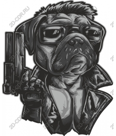  Pug with character
