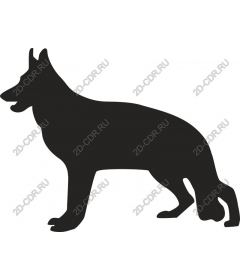  German shepherd
