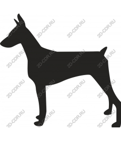 Doberman
