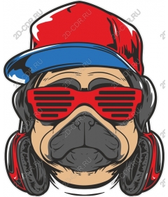  Cool pug in sunglasses and headphones