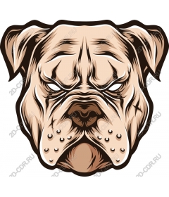 Premium bulldog
