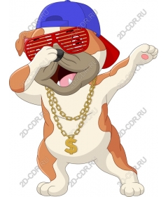 Stylish bulldog
