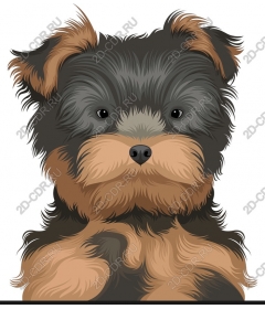  Yorkshire Terrier - digital art dogs