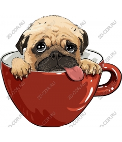  Pug in a coffee Cup