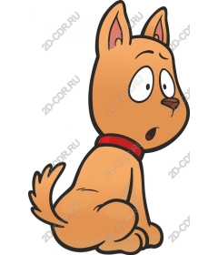  Charming surprised dog