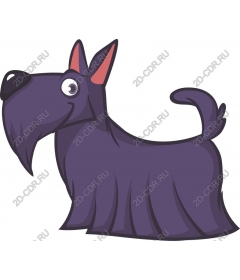  A playful purple puppy