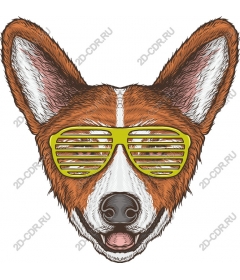  Glasses Corgi