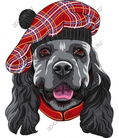  Adorable dog in a plaid hat