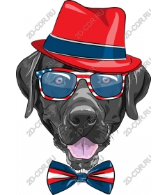  Dog-patriot