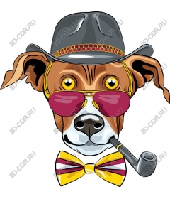  Dapper dog