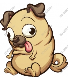  Fancy pug