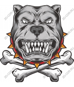 Head ferocious bulldog crossbones