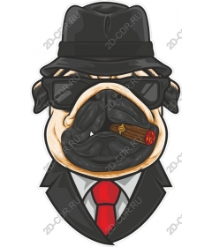 Dapper dog