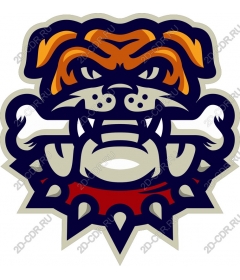  Ferocious bulldog
