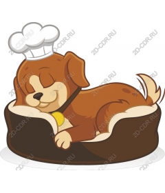  Chief puppy in the land of dreams.