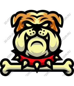  Ferocious bulldog