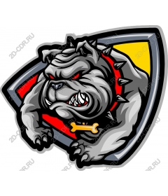  Ferocious bulldog