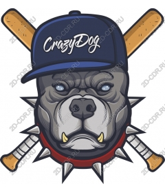  Crazy dog