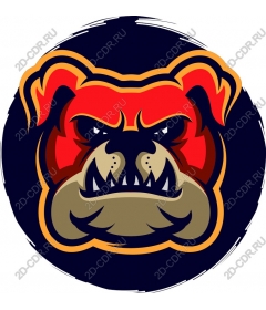  Ferocious bulldog