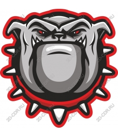  Ferocious bulldog