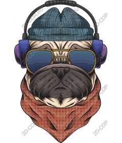  Fashionable pug