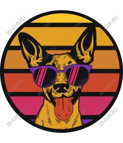 Retro sunglasses Dog