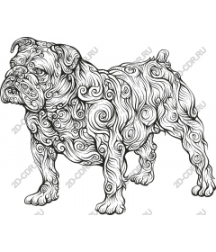  The whimsical whirlwind in the form of a bulldog