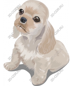  Adorable puppy