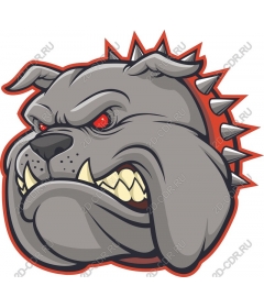 Head ferocious bulldog