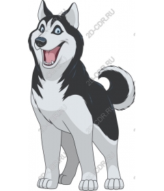 Funny cartoon husky