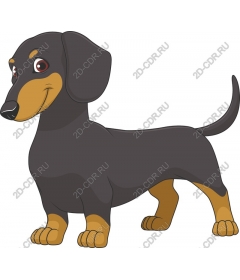  Adorable Dachshund