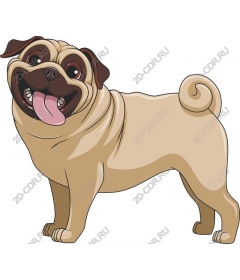 The pug is a playful art