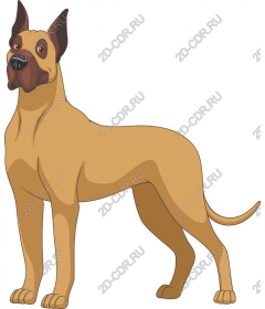 Majestic great Dane