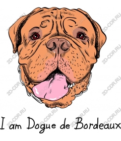 Dogue de Bordeaux