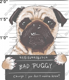  The bad Puggy