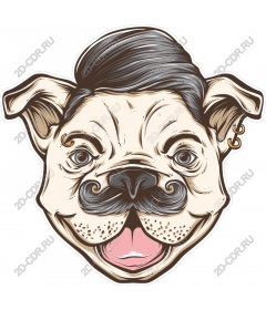 Vintage pug